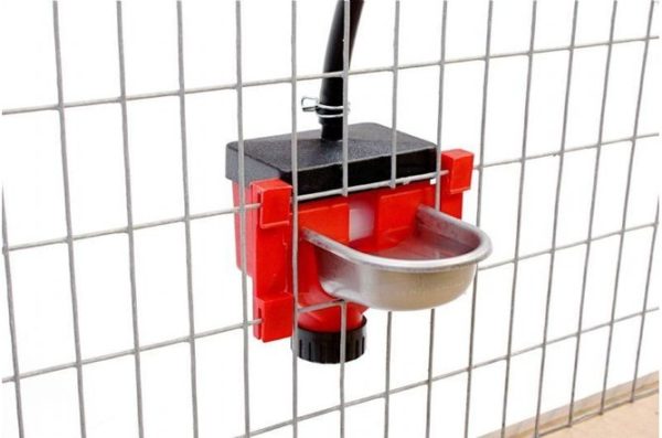 Cage Drinker with 6cm Stainless Steel Trough