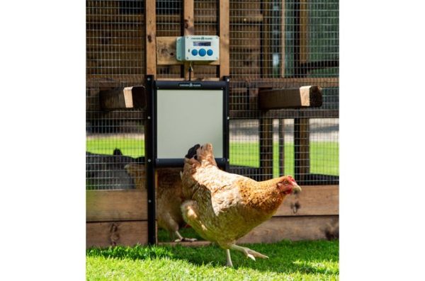 Chicken Guard Premium with self locking door kit
