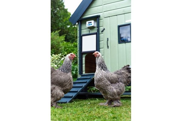 Chicken Guard Premium with self locking door kit