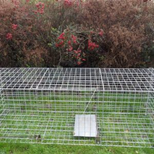 Lighter Weight Single Entry Fox Trap
