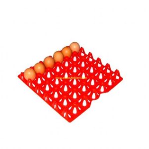Plastic Egg Tray (2.5 dozen)