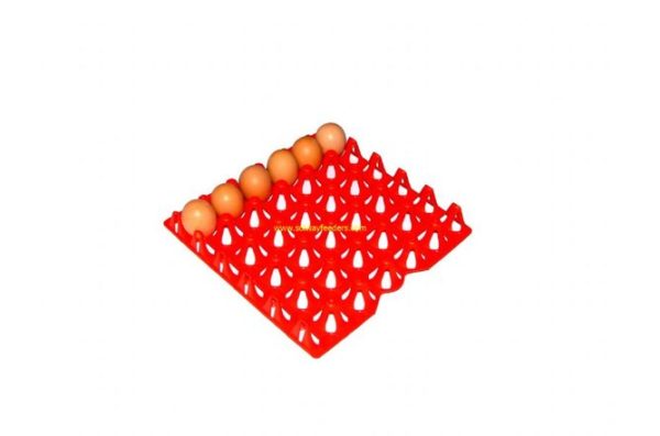 Plastic Egg Tray (2.5 dozen)