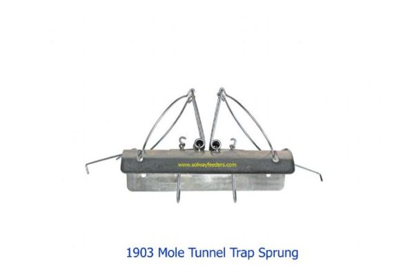 Mole Tunnel Trap
