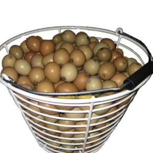 Supawash - Rotomaid Basket Only- 200 egg