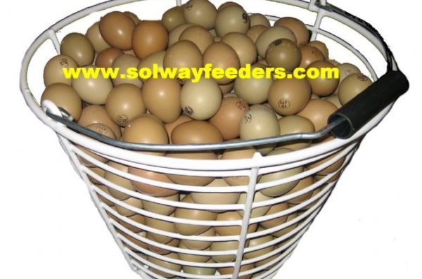 Supawash - Rotomaid Basket Only- 200 egg