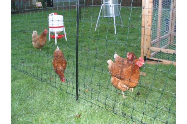 25m Poultry Netting Kit