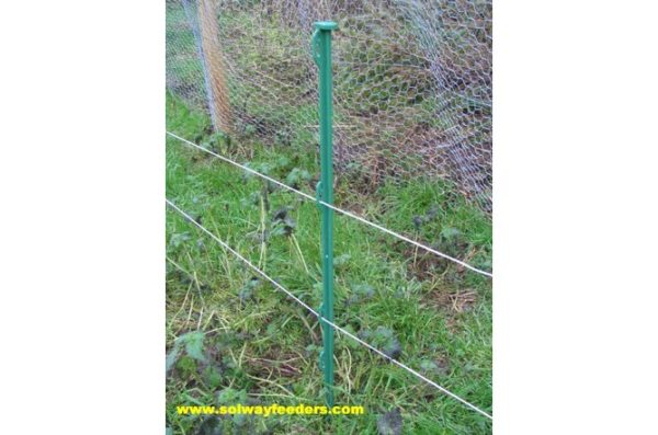 Green Push-In Plastic Fence Post  (70cm)