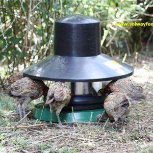 20kg Tube Feeder with Top Hat / Rain Guard