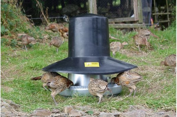 Galvanised (40kg) Tube Feeder with Top Hat Rain Cover