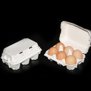 Quality White Egg Box (Approx 260 Boxes)