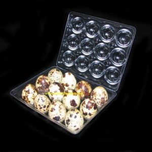 100 Quail Egg Boxes