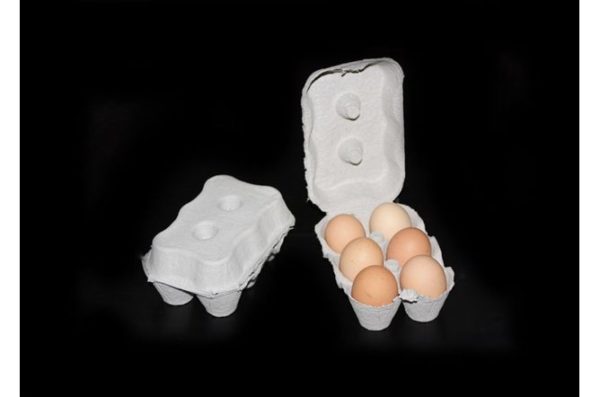 Economy Plain Fibre Egg Box