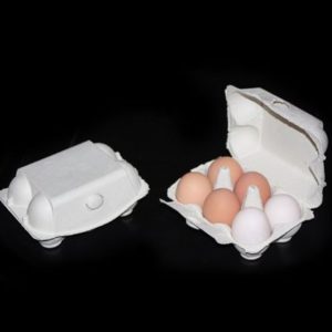 Imagic Egg Box for Large Hen or Duck Eggs (Approx 240 Boxes)