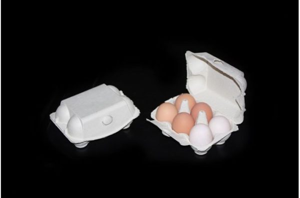 Imagic Egg Box for Large Hen or Duck Eggs (Approx 240 Boxes)