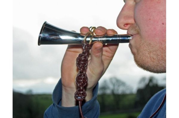 Brass Reed Horn 6"