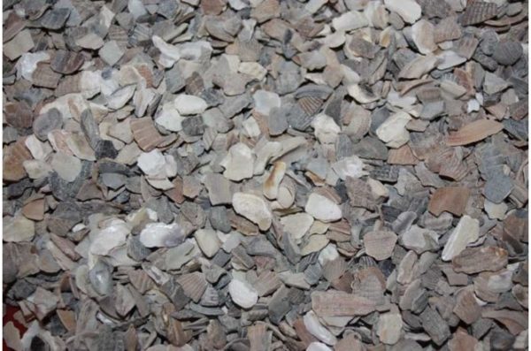 Oyster Shell Grit for Poultry (3kg Tub)