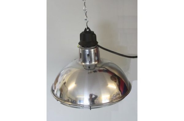 Brooder Lamp (with Large Shade & Guard)
