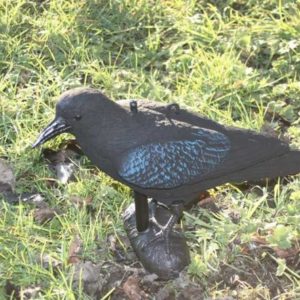 Crow Decoy with Legs and Mounting Rod