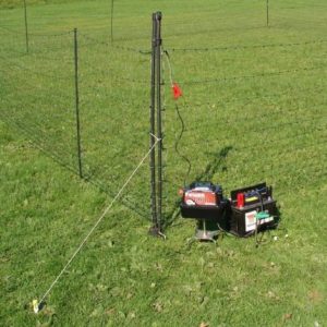 Electric Fencing, Netting and Pen Construction