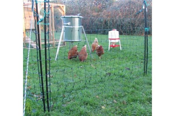 Poultry Net Gate