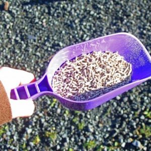 Quality plastic feed scoop