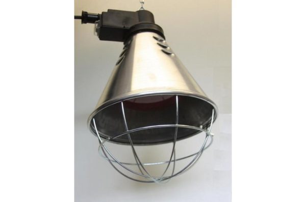 Infrared Brooder Lamp