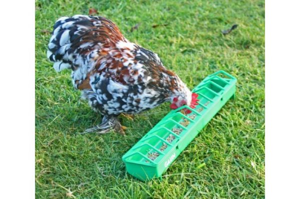 Plastic Chick and Pigeon Feeder (40cm)