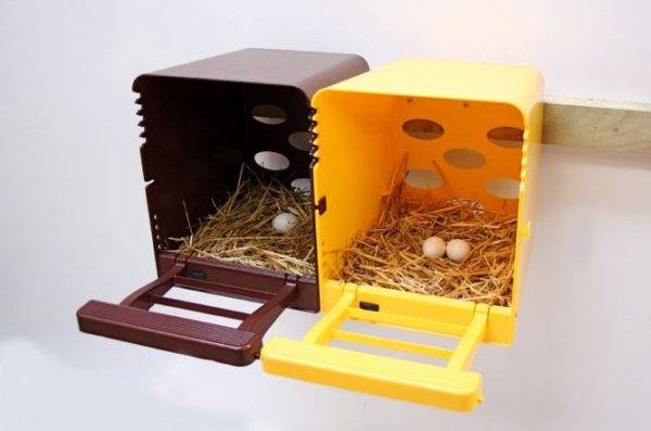 Brown Chickbox Modular Single Nestbox inc Foldaway Perch