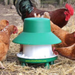 Poultry & Game Feeders